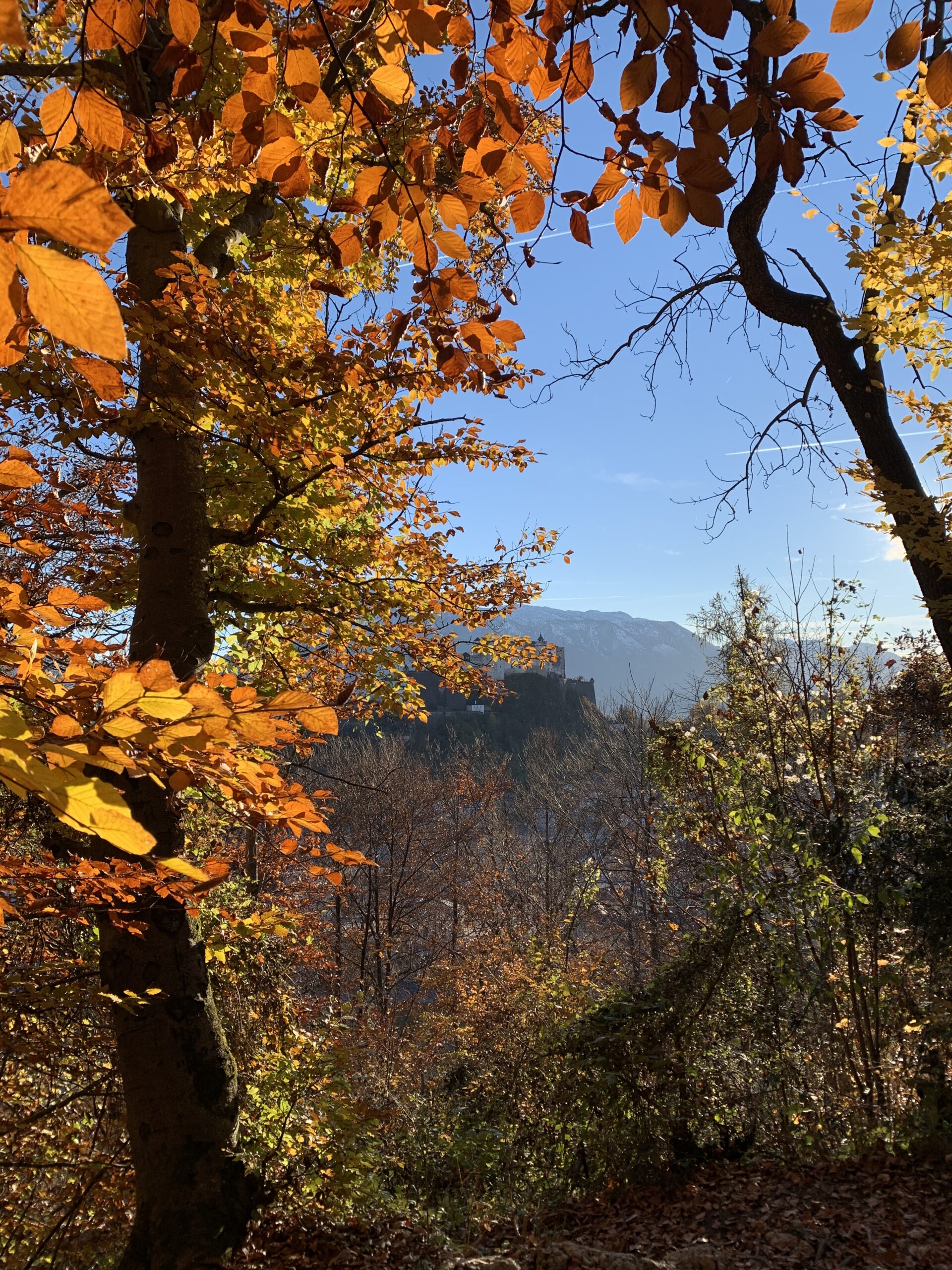 The “Aktionen” TWK